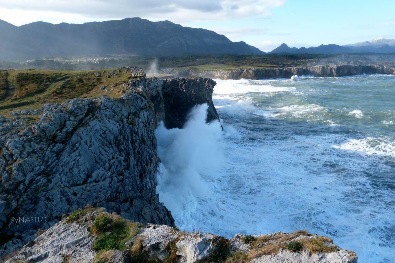 La Nana Del Mar / The Lullaby Of The Sea On Old Harbour Apartment Cudillero Bagian luar foto