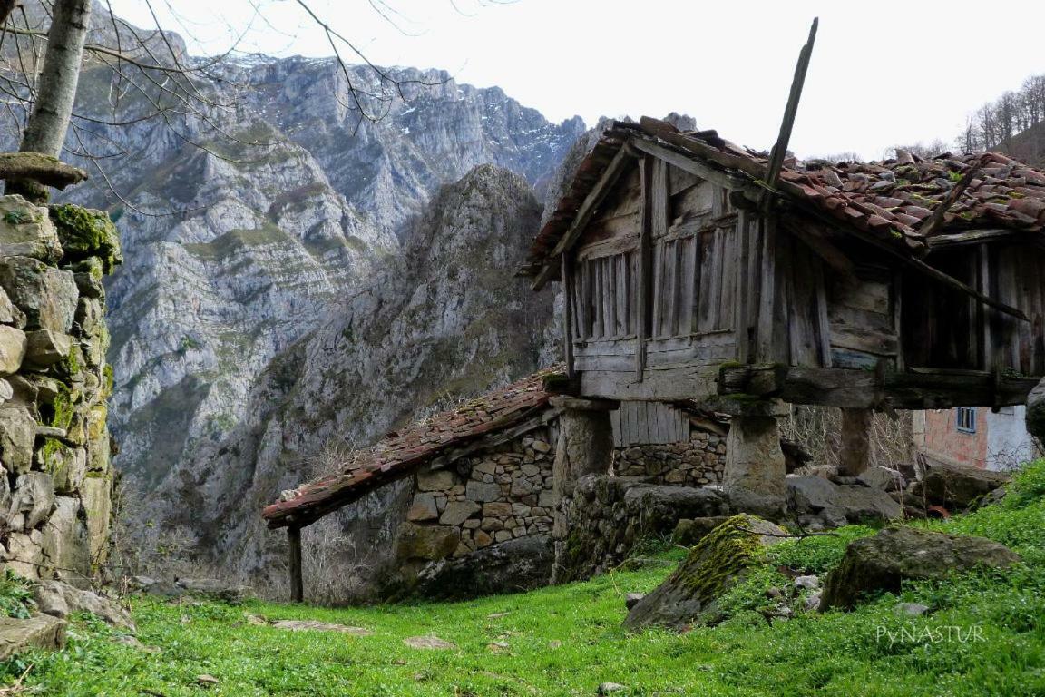 La Nana Del Mar / The Lullaby Of The Sea On Old Harbour Apartment Cudillero Bagian luar foto