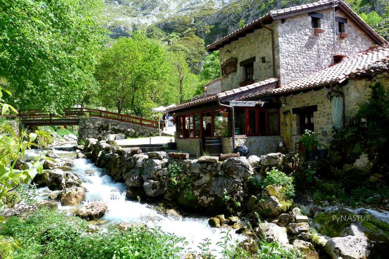 La Nana Del Mar / The Lullaby Of The Sea On Old Harbour Apartment Cudillero Bagian luar foto